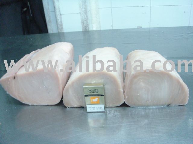  MARLIN   LOIN S ( Makaira Indica )
