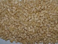BUY Grade 1 NON GMO White Corn(Maize)