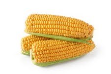 Quality corn at LC price