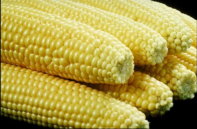 Dried Red Corn