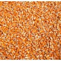 TOP QUALITY YELLOW CORN   AVAILABLE