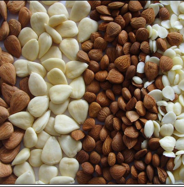 Bitter Apricot Kernel