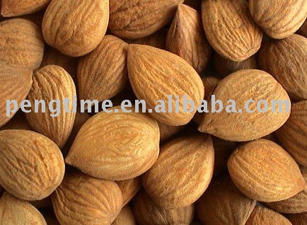 organic apricot kernel  seed