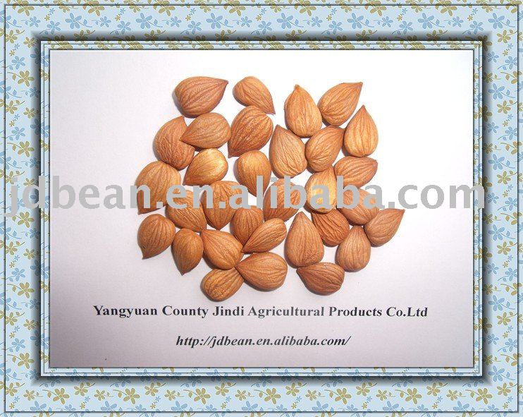 HPS bitter apricot kernels