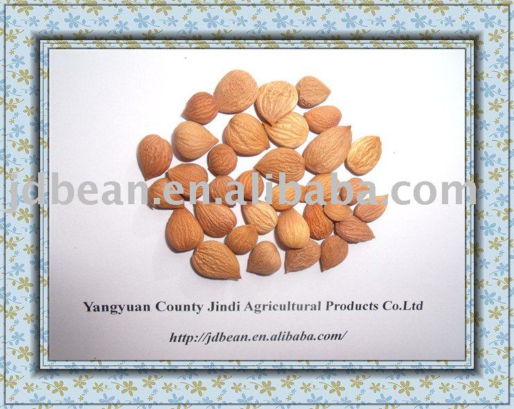 Naturally Grown COMMON bitter apricot kernels