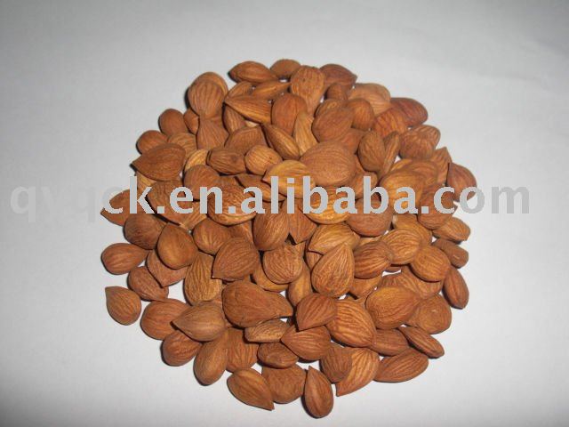 Bitter apricot kernels