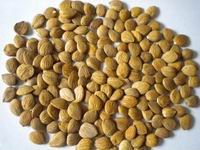 sweet apricot kernels