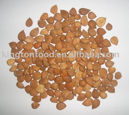 Apricot Kernel