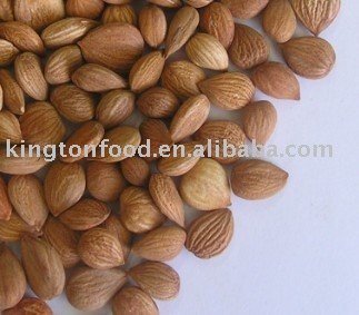 Bitter Apricot Kernel