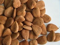 Bitter Apricot Kernels