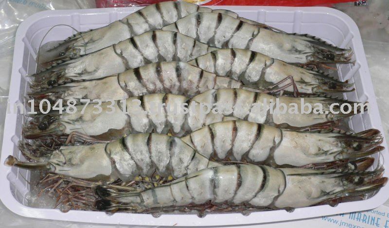  Frozen   HOSO   Black   Tiger   Shrimp s ( P Monodon )