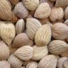  Bitter  Apricot Seed P.E.
