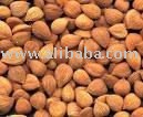Apricot Kernels , Bitter / Sweet