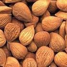 Raw Rosted and Dried Bitter apricot kernels
