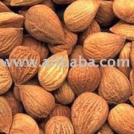 Apricot Seed
