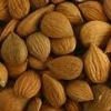 APRICO KERNELS,BETEL KERNELS,BRAZIL NUTS,MELON SEEDS AVAILABLE FOR SALE