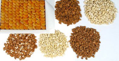 Apricot Kernel And Seeds