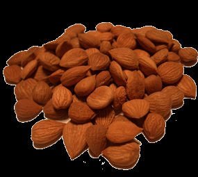 Organic and Conventional Apricot Kernels Sweet and Bitter