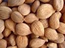 Apricot Kernel,  Apricot nuts