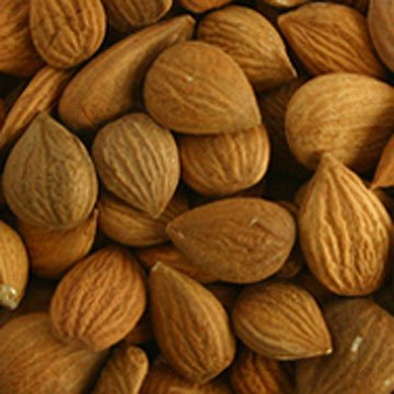 Apricot  Kernels 
