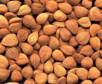 apricot kernels