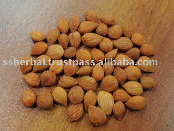  Bitter  Apricot Kernel