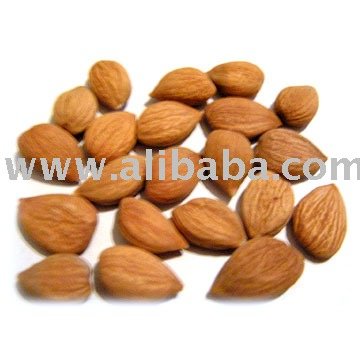 Bitter Apricot Kernel , Apricot Seeds