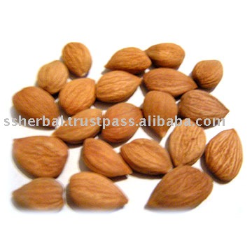 Bitter Apricot Kernels , Bitter  / Sweet