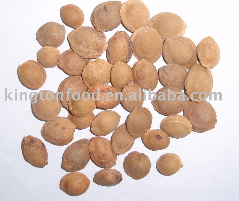 Bitter almond in shell