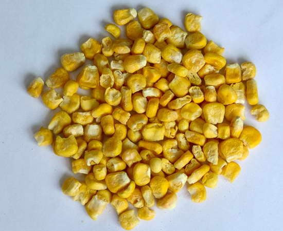 CORN