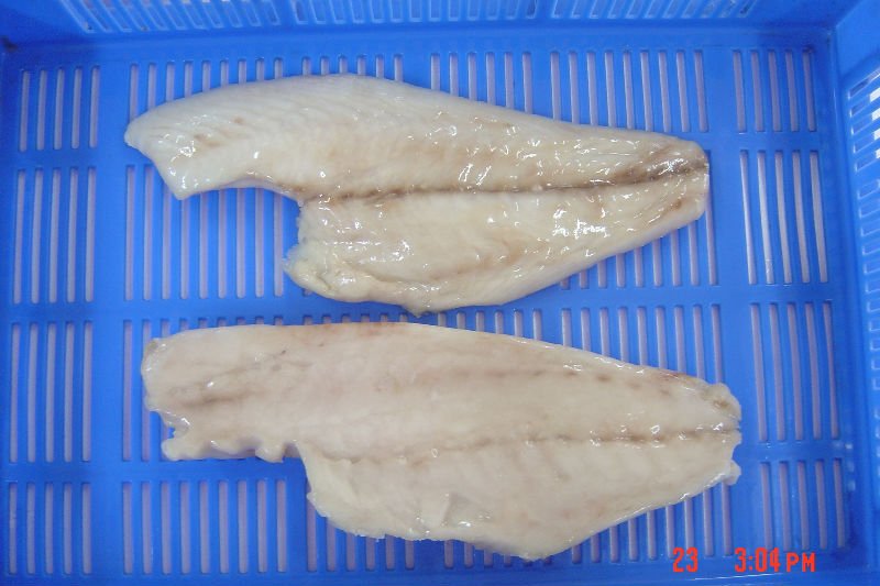 Emperor Fillet