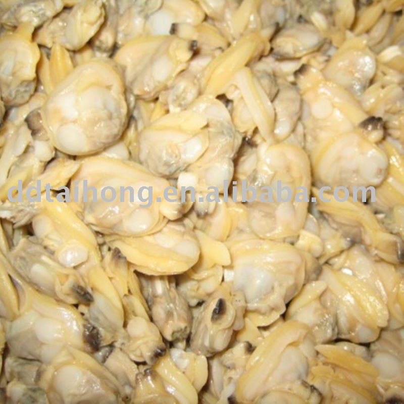 Frozen boiled clam Meat Food