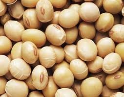 soya beans
