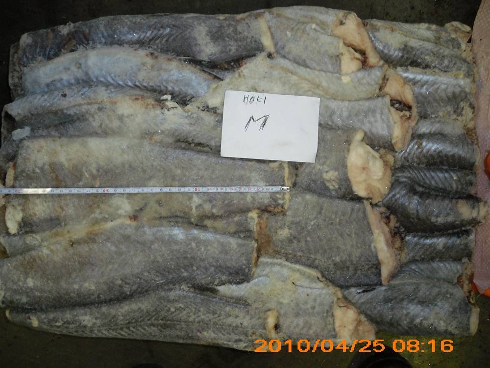 Hoki (Macruronus novaezelandiae) HGT