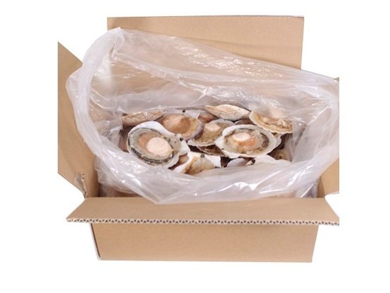 Frozen half shell of scallop