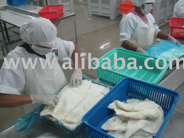 Squid processing