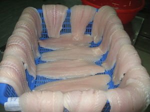 FROZEN PANGASIUS FILLET