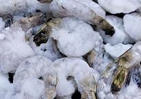 Quality Frozen Black Tiger Shrimps Available