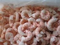 Quality Frozen Shrimps Available