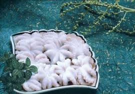 THE FROZEN OCTOPUS