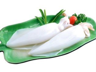 FROZEN CUTTLEFISH