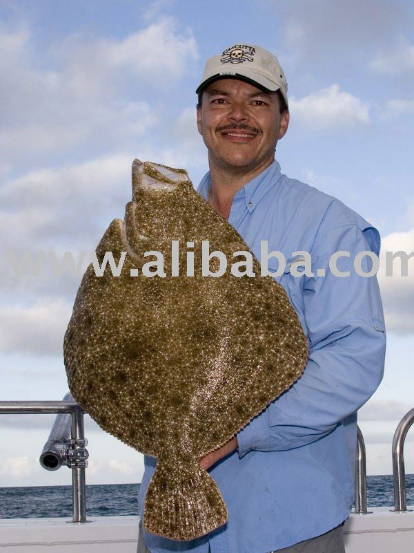 Frozen Calkan,Black sea Turbot