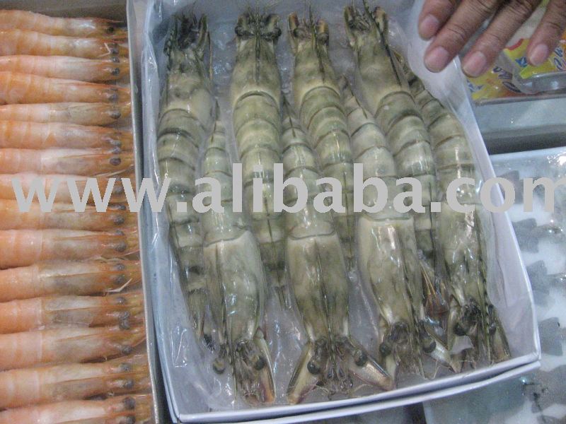 Frozen Black Tiger Head On Shell On (HOSO) Shrimp