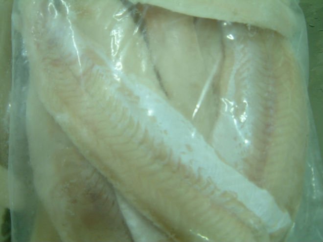 Hake Fillet