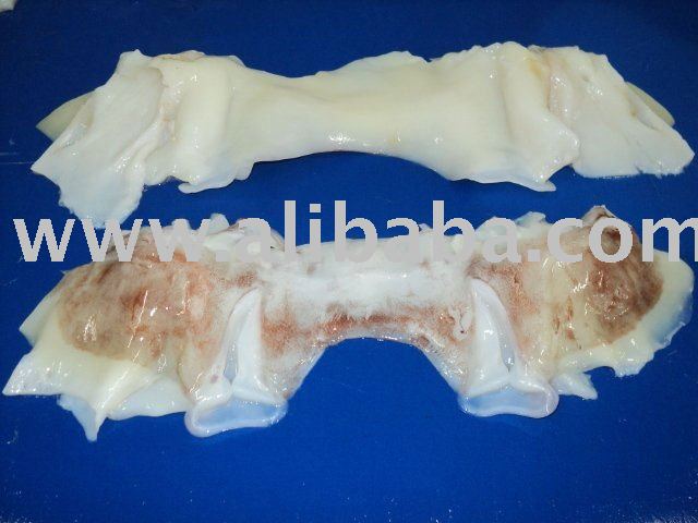 GIANT  SQUID NECK