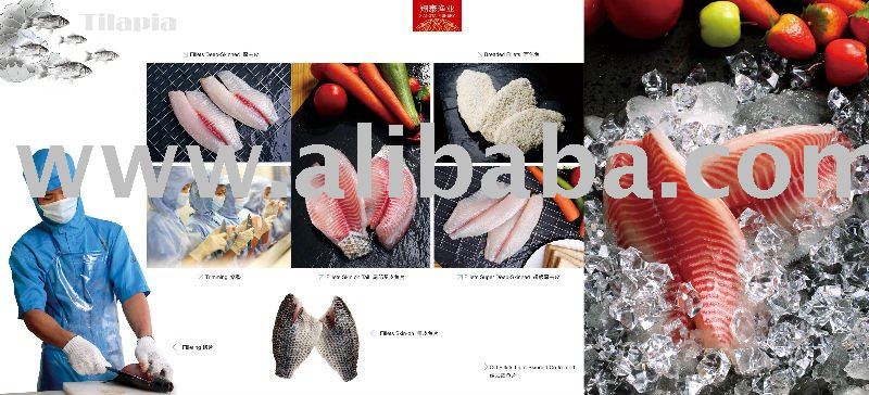 Tilapia fish, whole round