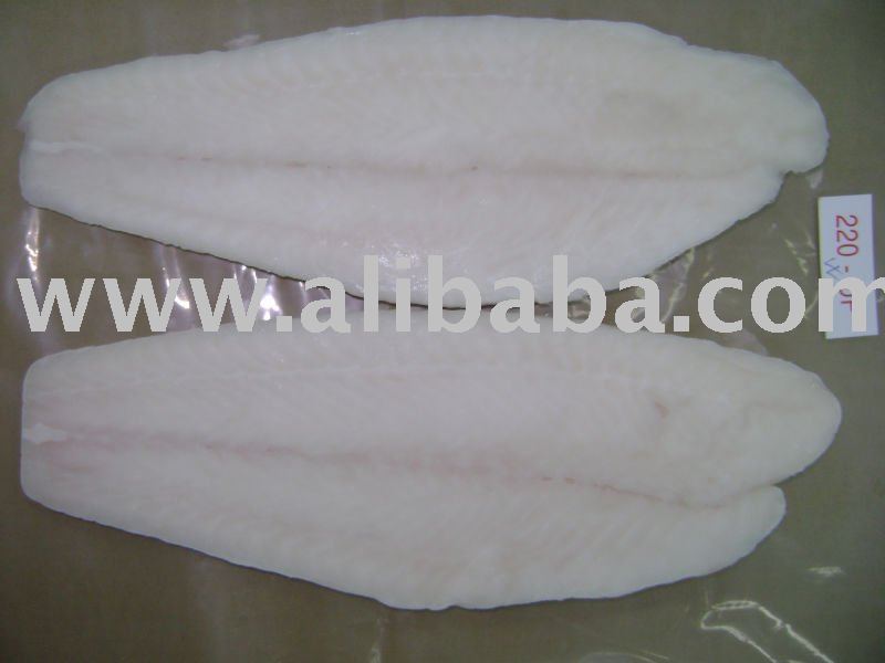 Pangasius hyphophthalmus