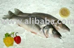 Frozen Sea Bass And Other Seafoods