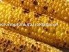 STEAM CORN