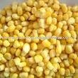 bulk corn